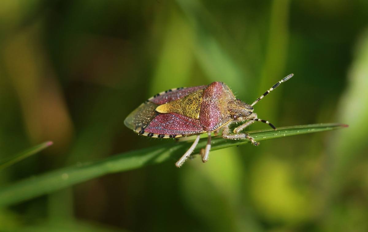 Nature photography